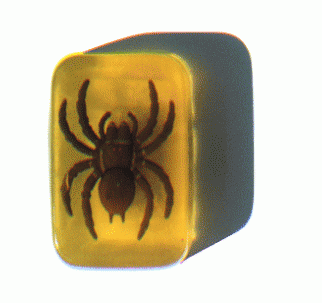 Insect Soap Insect Soap