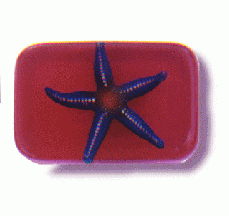 Starfish Soap Starfish Soap