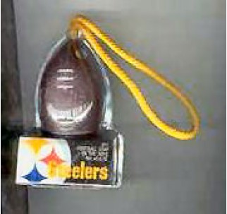 NFL Pittsburgh Steeler Football SOAR